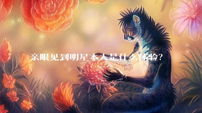 亲眼见到明星本人是什么体验？