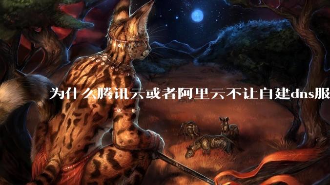 为什么腾讯云或者阿里云不让自建dns服务器?