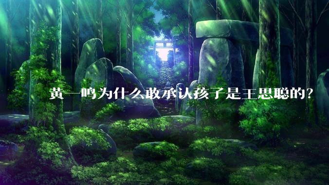 黄一鸣为什么敢承认孩子是王思聪的？