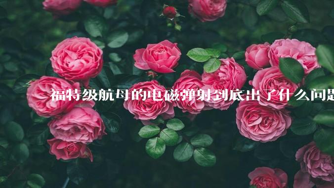 福特级航母的电磁弹射到底出了什么问题？