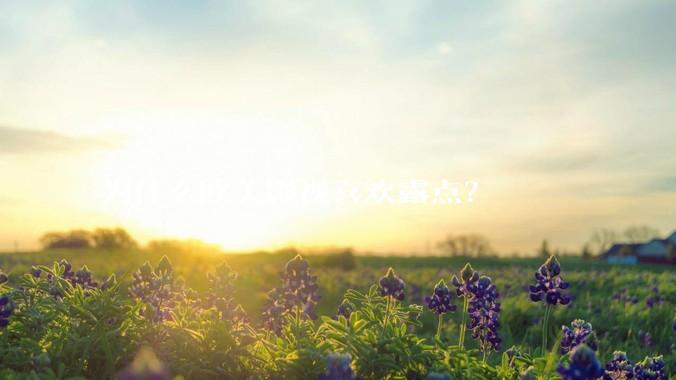 为什么欧美影视喜欢露点？