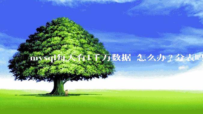 mysql每天有1千万数据 怎么办?分表吗 有什么好的方案。?